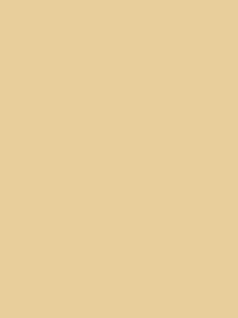 TE KOOP PER METER | Plotter Vinyl Glanzend Beige | 2€ p/m