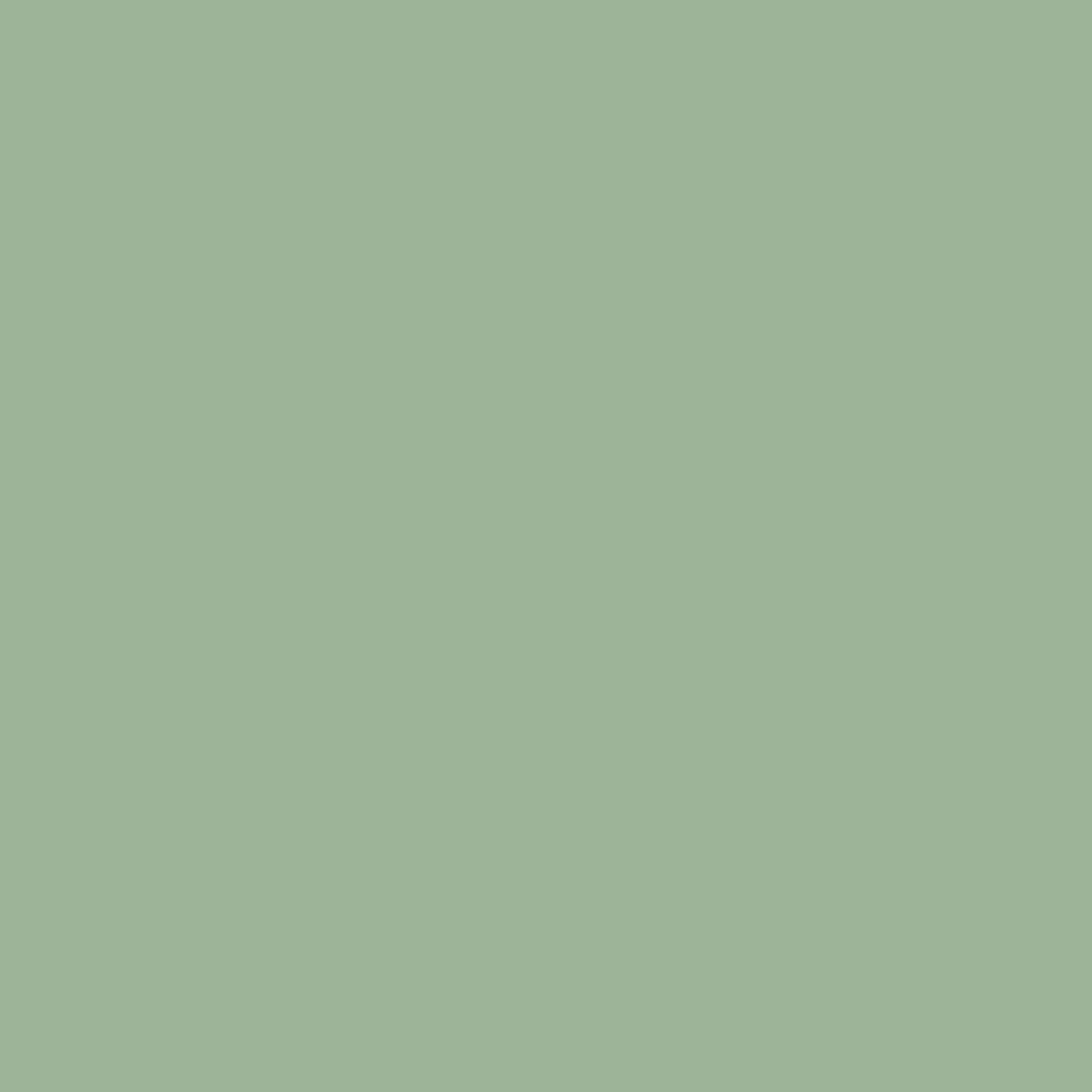 Flex Folie - Salie Groen Siser Easyweed - A01026 30cm breed - 7.50€ p/m